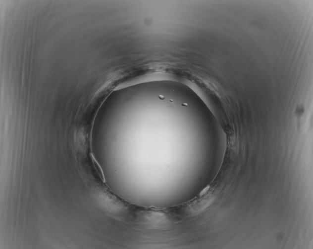 X0000092090572200709191248
