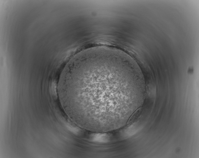 X0000092090575200709191248