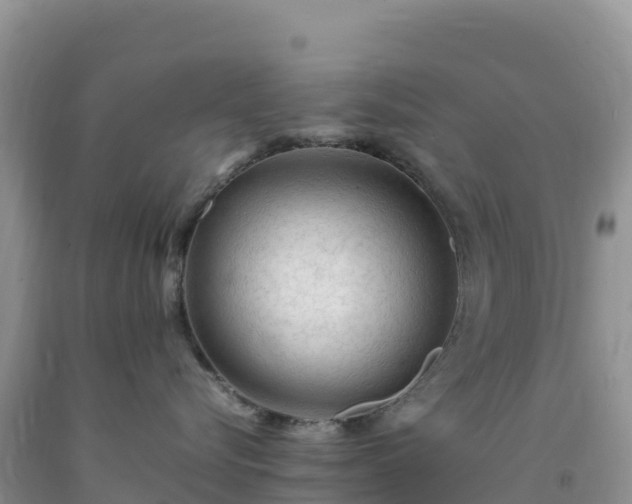 X0000092090576200709191248
