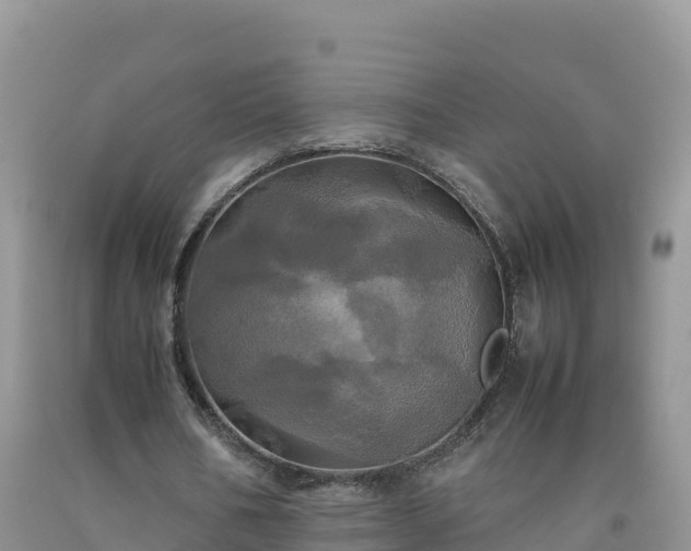X0000092090578200709191247