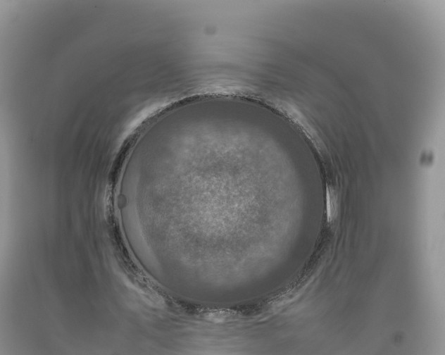 X0000092090579200709191247