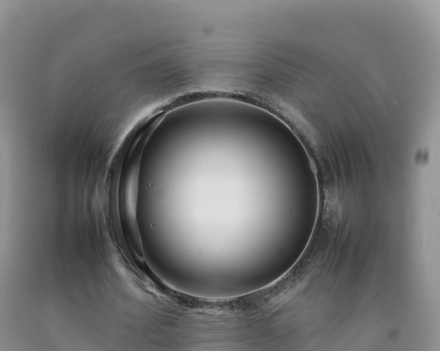 X0000092090580200709191247