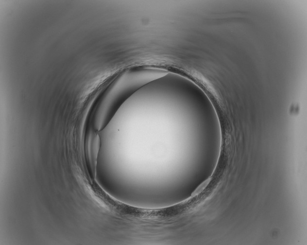 X0000092090581200709191247