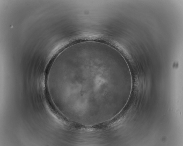 X0000092090582200709191247