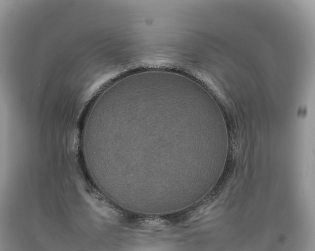 X0000092090583200709191247