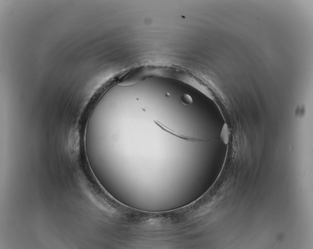 X0000092090584200709191247