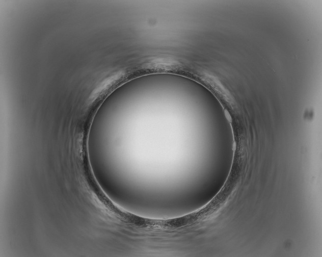 X0000092090585200709191247