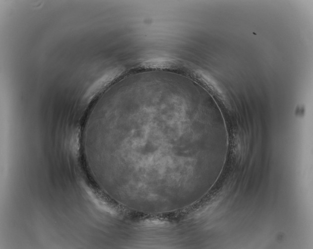 X0000092090586200709191247