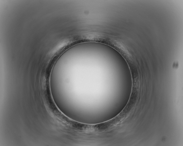 X0000092090587200709191247