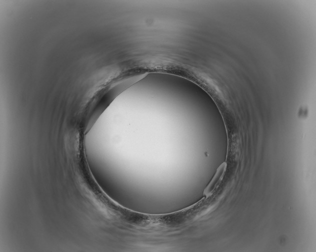 X0000092090589200709191247