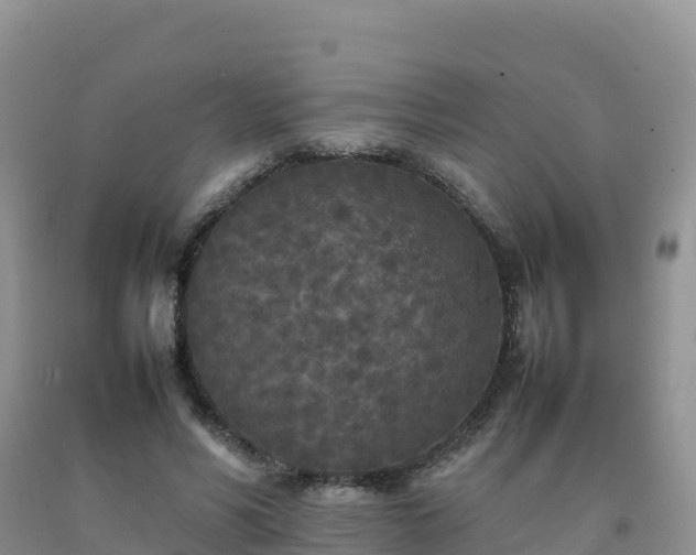 X0000092090590200709191247