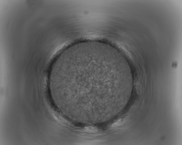 X0000092090591200709191247