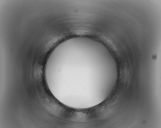 X0000092090592200709191247