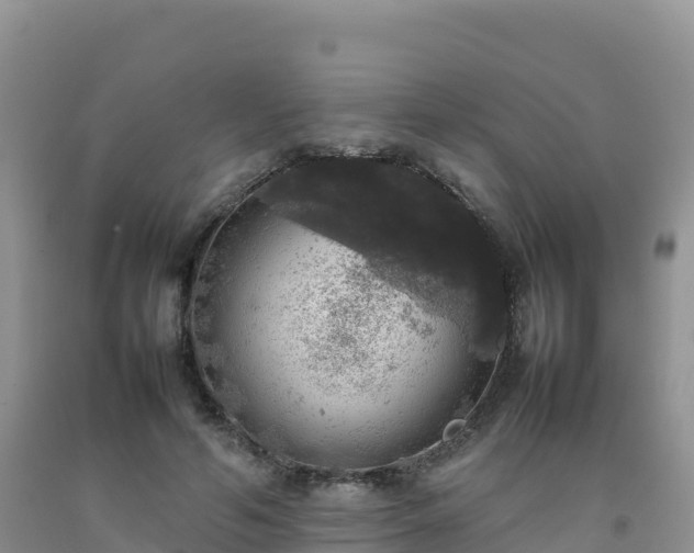 X0000092090594200709191247