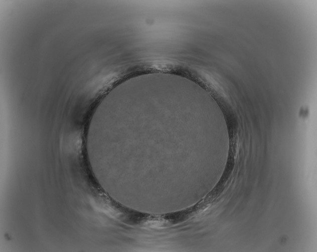 X0000092090595200709191247