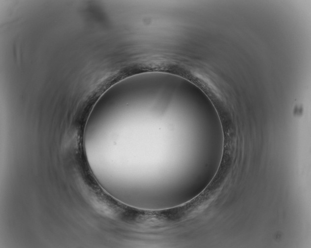X0000092090597200709191247