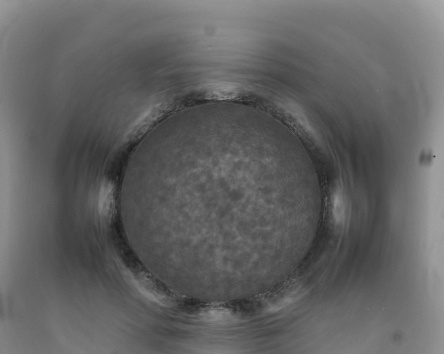 X0000092090598200709191247