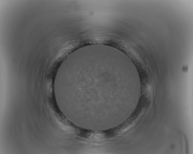 X0000092090599200709191247