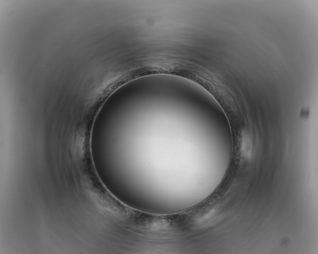 X0000092090600200709191247