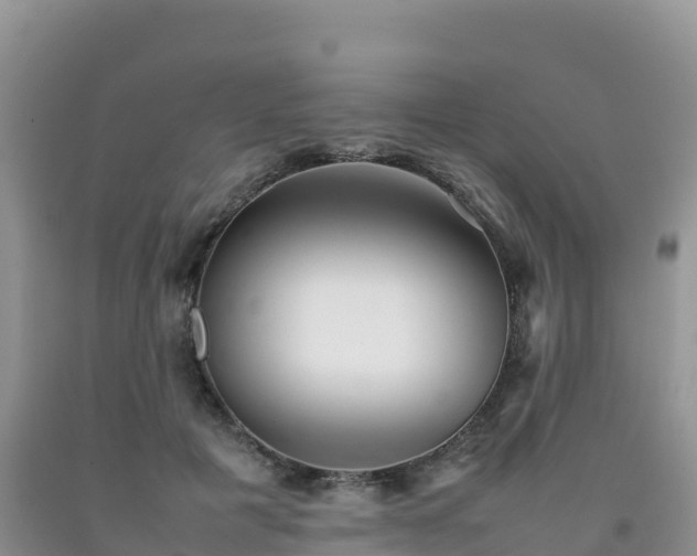 X0000092090601200709191247