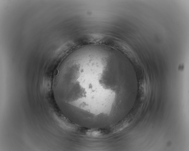X0000092090602200709191247