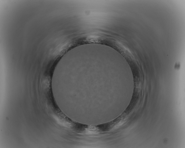 X0000092090603200709191247