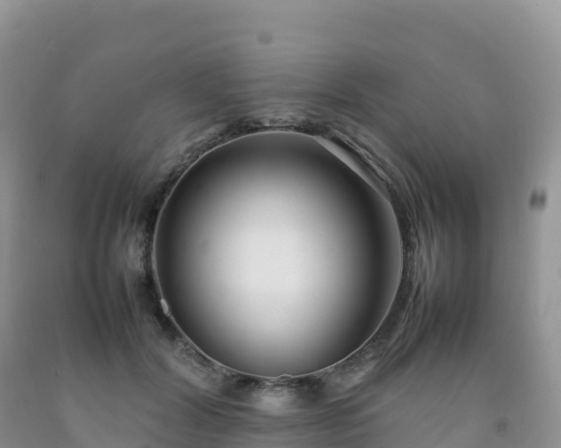 X0000092090604200709191247