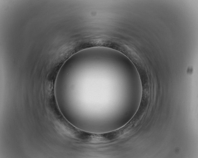 X0000092090605200709191247