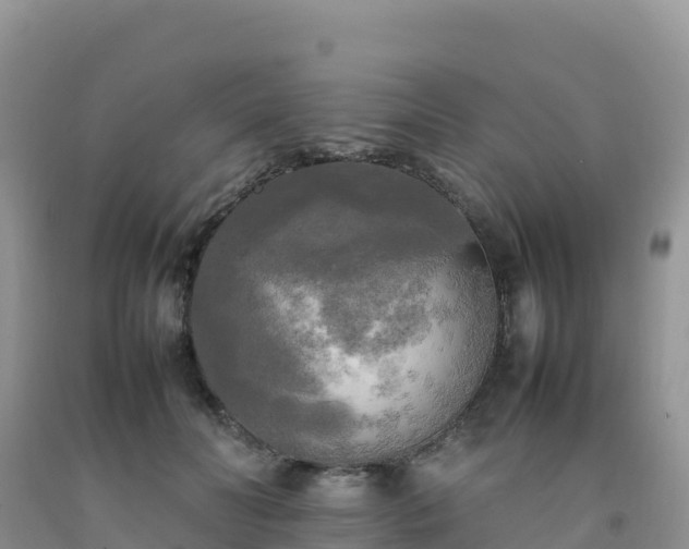 X0000092090606200709191247