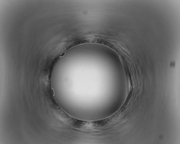 X0000092090611200709191247