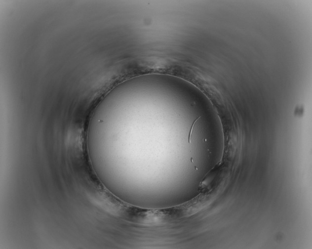 X0000092090612200709191247
