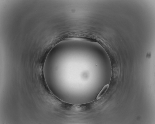X0000092090613200709191247