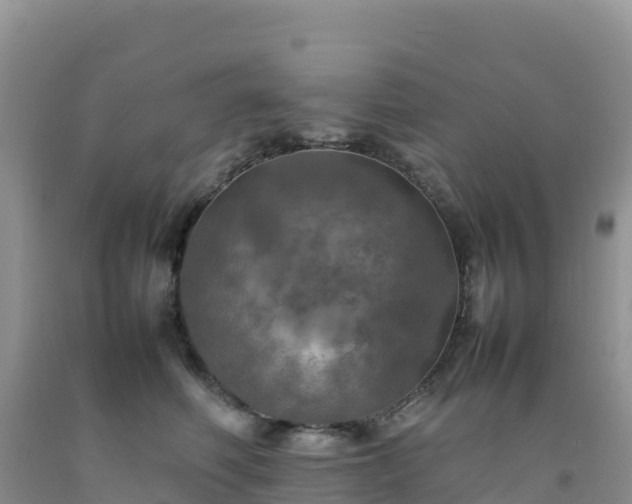 X0000092090614200709191247