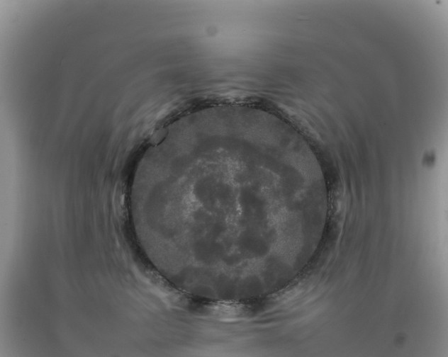X0000092090615200709191247