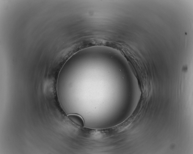 X0000092090616200709191247