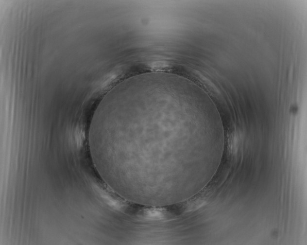 X0000092090618200709191247