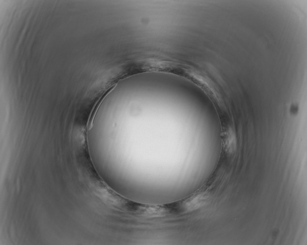 X0000092090621200709191247