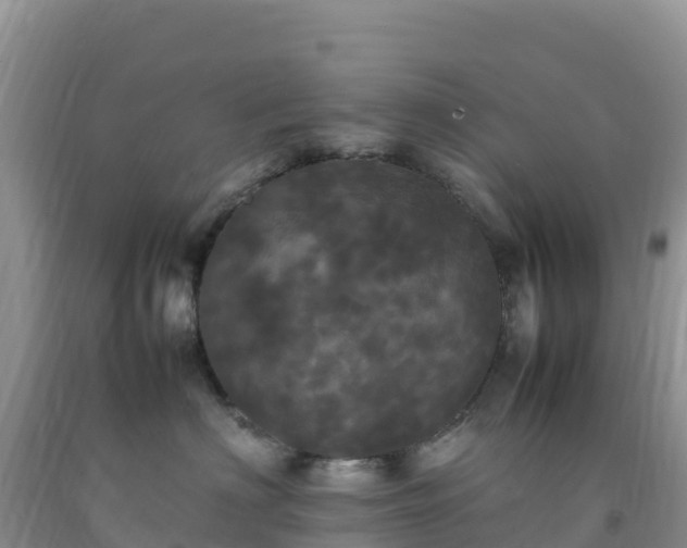 X0000092090622200709191247