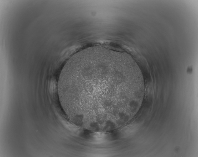 X0000092090623200709191247