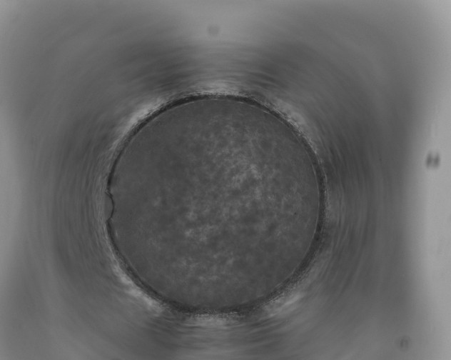 X0000092090625200709191246