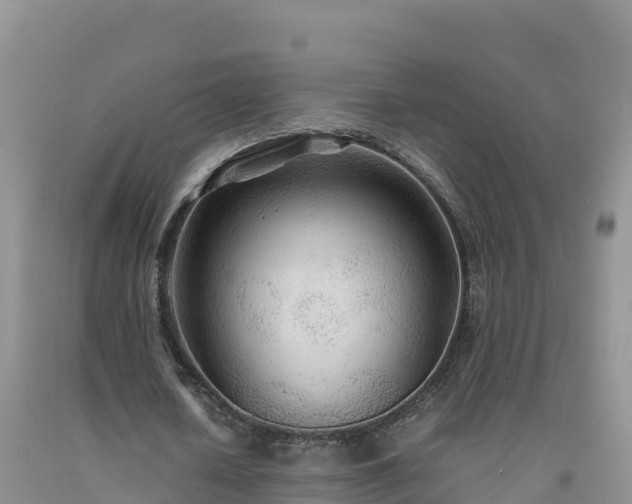 X0000092090626200709191246
