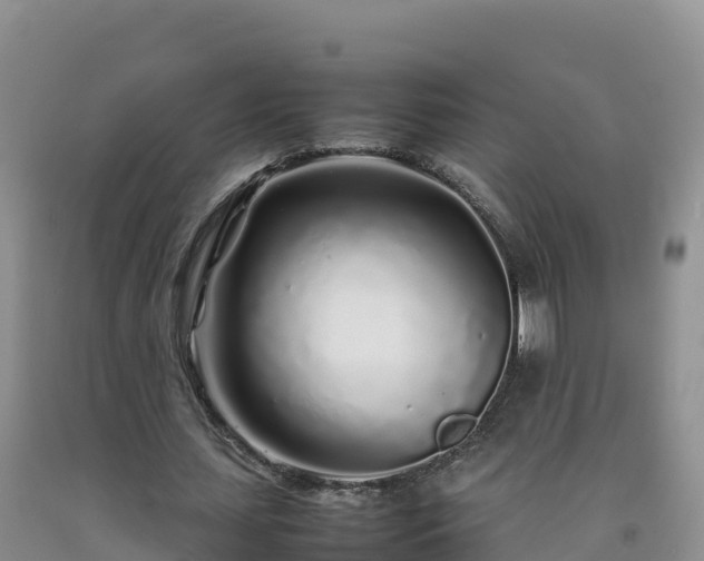 X0000092090627200709191246