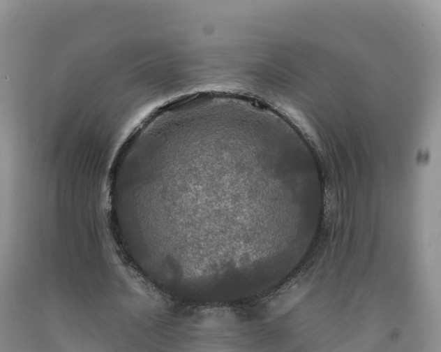 X0000092090628200709191246