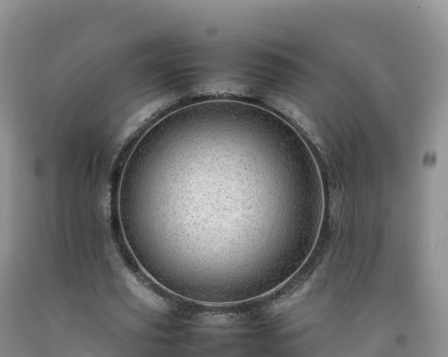 X0000092090629200709191246