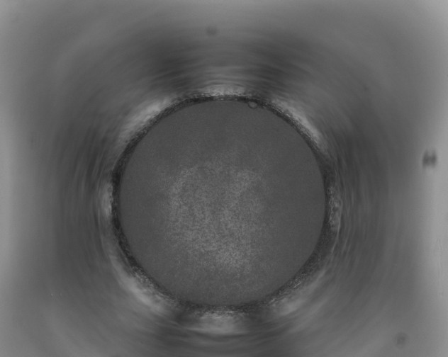 X0000092090631200709191246