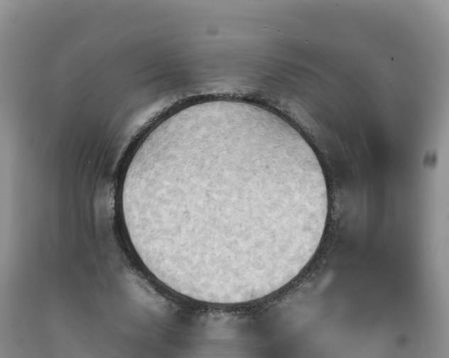 X0000092090632200709191246