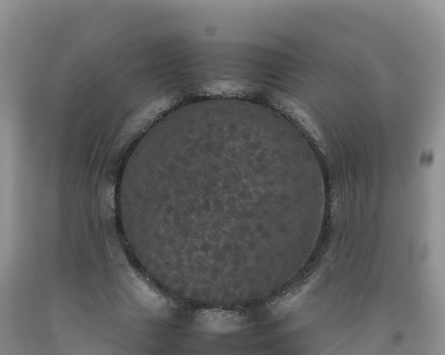 X0000092090633200709191246