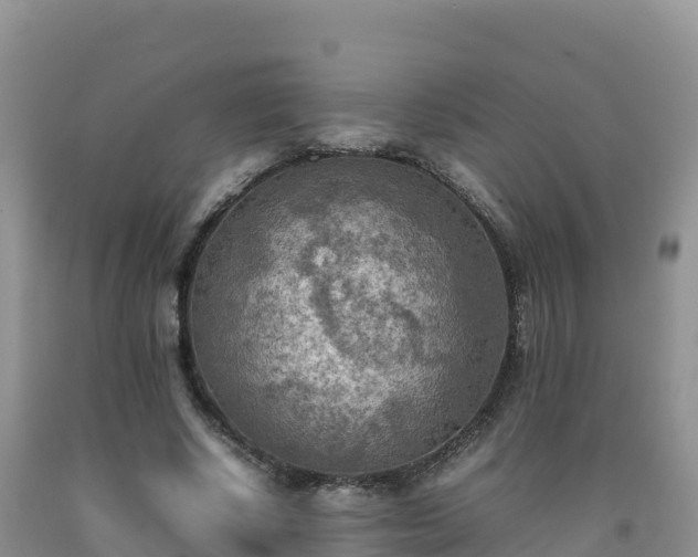 X0000092090634200709191246