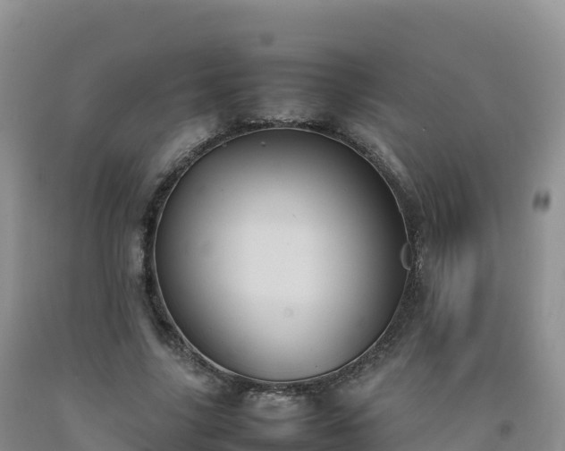 X0000092090635200709191246