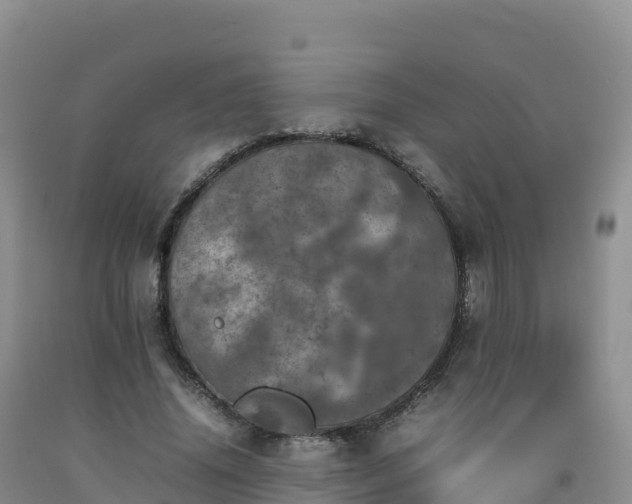 X0000092090636200709191246